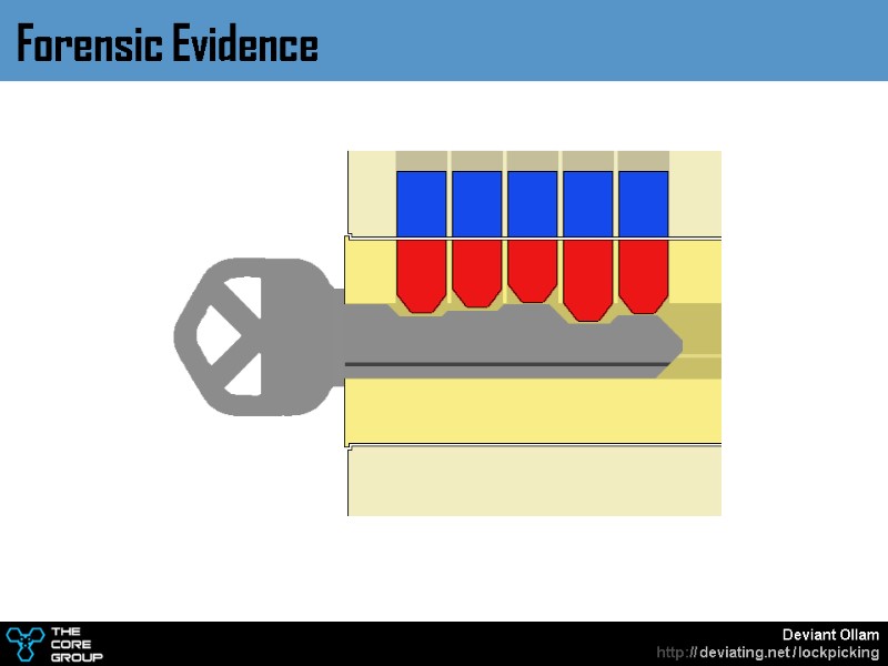 Forensic Evidence